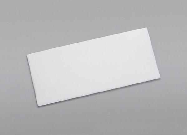 Front of a #10 Regular Envelope with Regular Gum