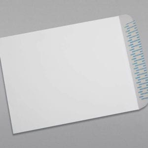 Back of a 10 x 13 Catalog Envelope 28# White Wove with Peel & Stick