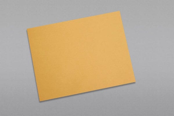 Front of a 10 x 13 Catalog Envelope 28# Brown Kraft with Peel & Stick