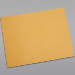 Front of a 12 x 15 1/2 Catalog Envelope 28# Brown Kraft with Peel & Stick