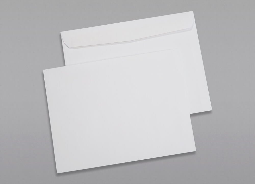 Monthly Log Summary Envelope - Side Gum Flap, White Stock