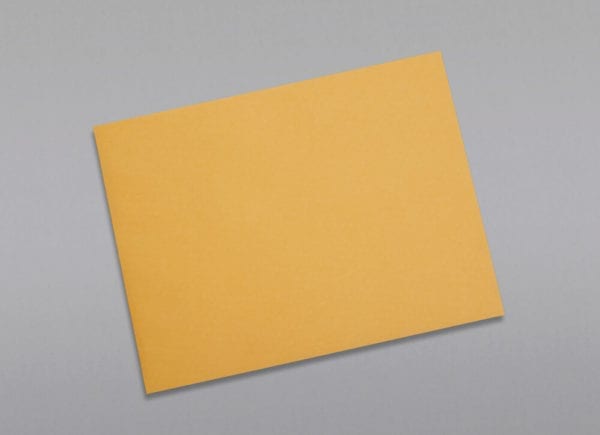 Front of a 9 x 12 Catalog Envelope 28# Brown Kraft with Regular Gum