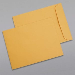 Front and back of a 9 x 12 Catalog Envelope 28# Brown Kraft with Regular Gum