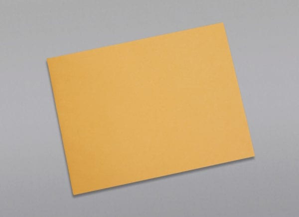 Front of a 9 x 12 Catalog Envelope 28# Brown Kraft with Peel & Stick