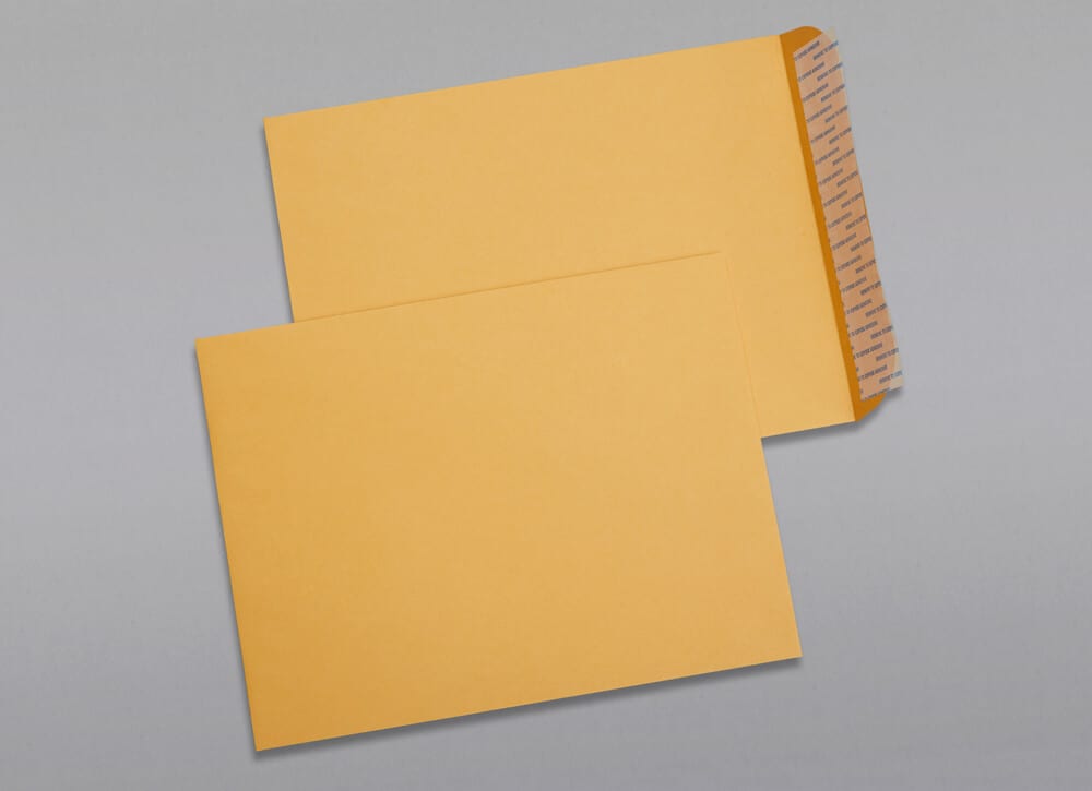 Front and back of a 9 x 12 Catalog Envelope 28# Brown Kraft with Peel & Stick