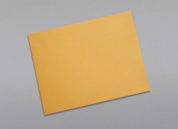 Front of a 9 1/2 x 12 1/2 Catalog Envelope 28# Brown Kraft with Regular Gum