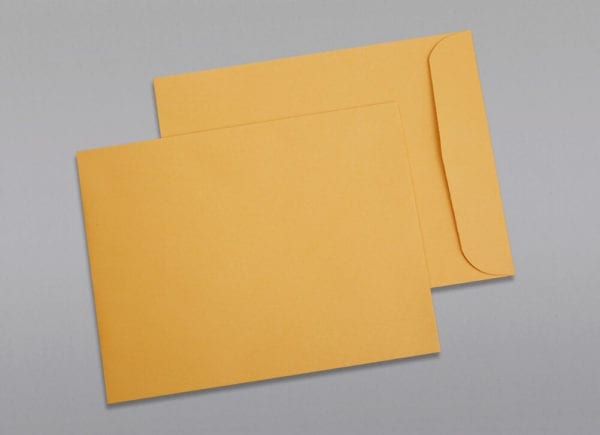 Front and back of a 9 1/2 x 12 1/2 Catalog Envelope 28# Brown Kraft with Regular Gum