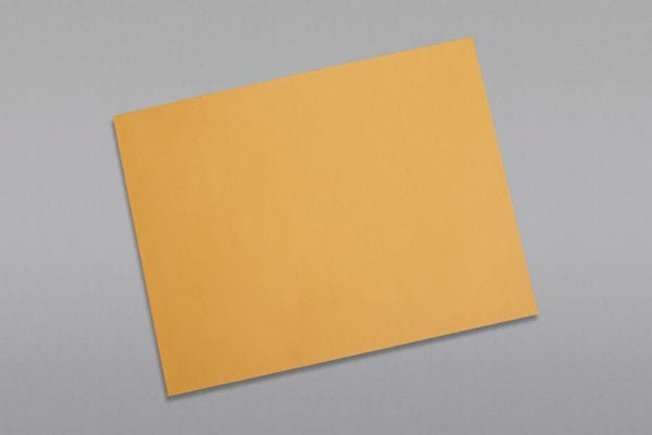 Front of a 10 x 13 Booklet Envelope 28# Brown Kraft with Regular Gum