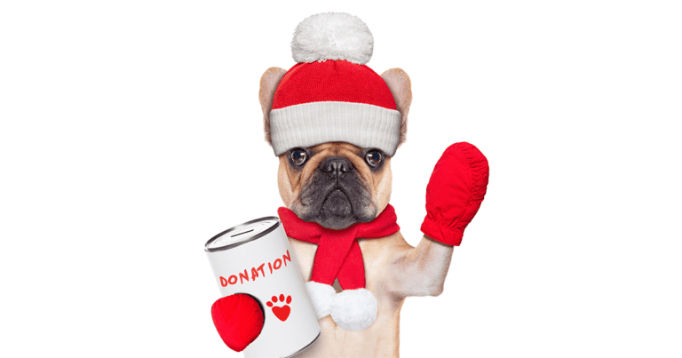 holiday fundraising